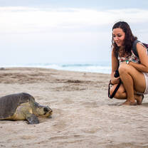 Volunteering with Turtles in Puerto Escondido