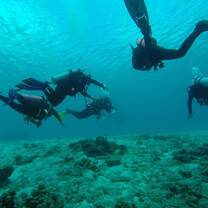 Study Abroad in Bonaire with CIEE