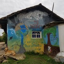 One of the walls outside of Armando's home