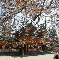 Explore Japan