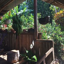 Longo Mai, Costa Rica