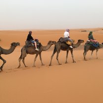 Sahara Desert