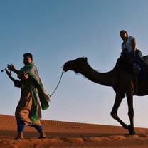 Riding camels in the Sahara