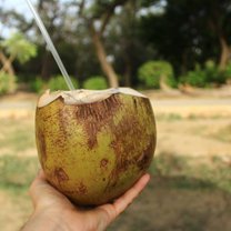 coconut water!