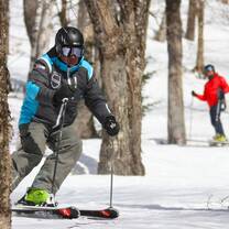 Learn to glide through the trees