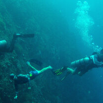 Freediving vs. Scuba - way cooler!