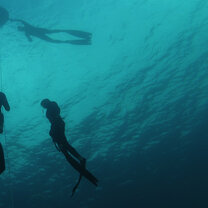 Teaching Freediving