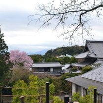 View from Philosphers Path Kyoto, Japan