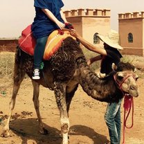 Camel Riding