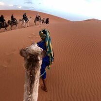 The Sahara