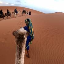 The Sahara