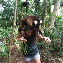 Lemurs are very friendly!