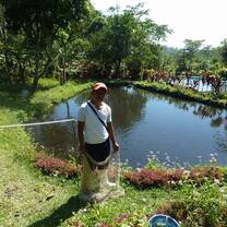 Fish pond