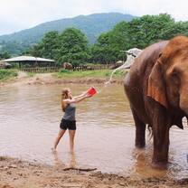 Bathing an elephant 