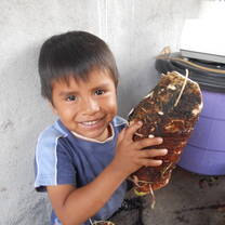 Proud of his Malanga harvest
