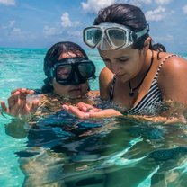 Marine Biology Exploration