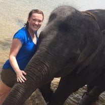 Elephant experience 