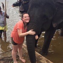 Elephant experience 