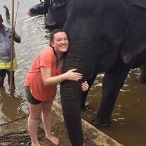 Elephant experience 