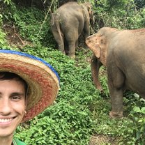 Elephant Sanctuary, Chiang Mai