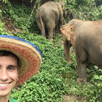 Elephant Sanctuary, Chiang Mai
