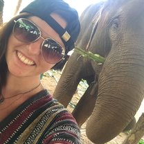 Elephant Sanctuary