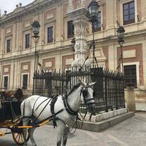 Horse carriages outside of the Cathedral 