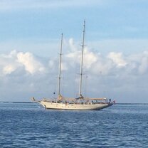Argo sitting pretty in the Pacific Argo
