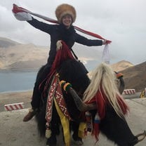 Yak Ride