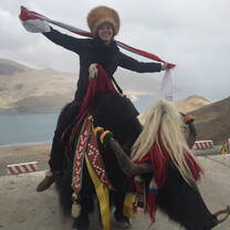 Yak Ride