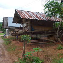 Mae Lai: Mountain Village