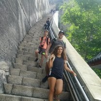 The great wall