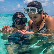 Marine Biology Exploration