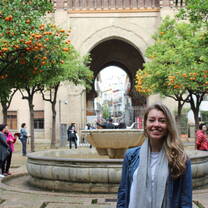 orange trees, Seville, Spain 