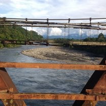 Bridge over an Amazonian River