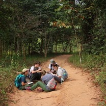 Taking notes on the forest floor 