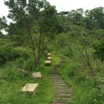 Lost in Maokong