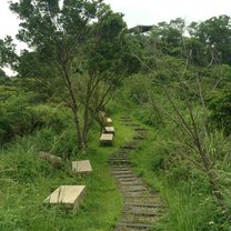 Lost in Maokong