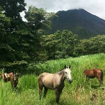 Arenal Volcano