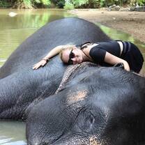 Elephant Experience