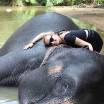 Elephant Experience