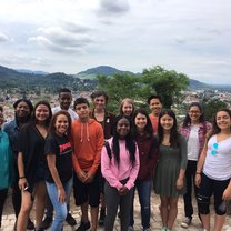 Views From The Black Forest!