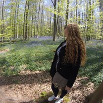 Around the month of May, the Bluebells of the Hollerbos forest bloom and cover huge amounts of area with a beautiful purple veil. A must see. 