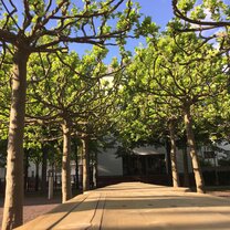 The Jewish Museum Gardens