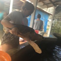 Amazing experience