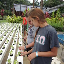 Spanish & Sustainability Practices in Costa Rica