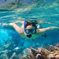Scuba near the beach