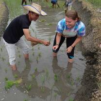 Learning to plant rice with locals!