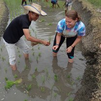 Learning to plant rice with locals!