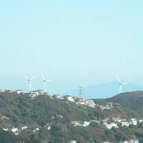 Wellington